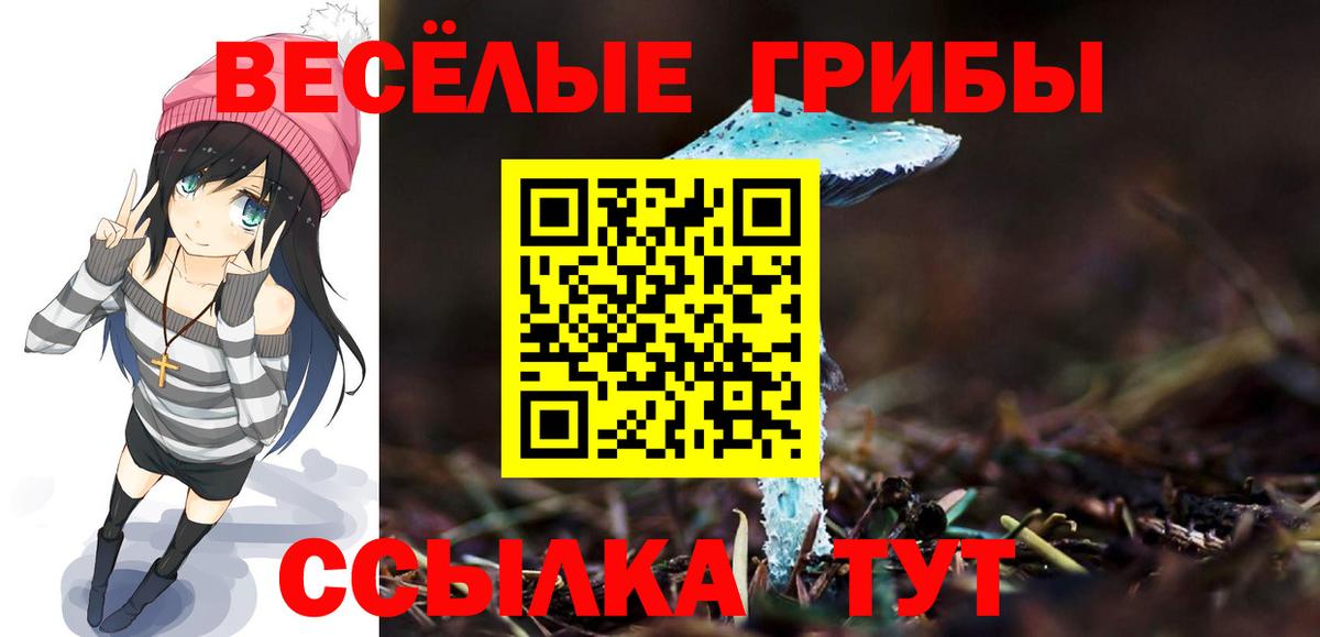 Галлюциногенные грибы MAGIC MUSHROOMS  Вход с VPN  Сунжа 