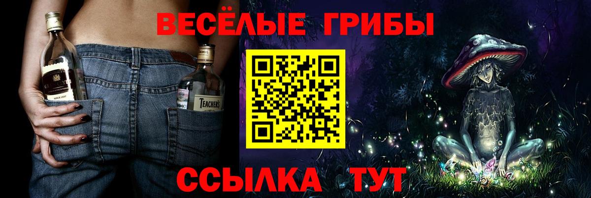 Псилоцибиновые грибы GOLDEN TEACHER  Сунжа 